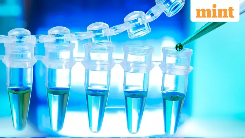 PI Industries Faces Revenue Pressure as Key Herbicide Sales Decline