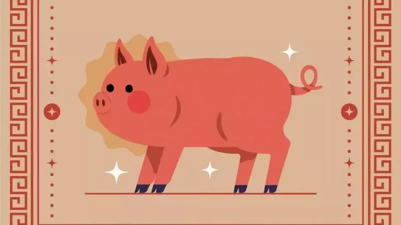 Pig Horoscope 2026: Year of Maturity, Career Shifts & Emotional Growth
