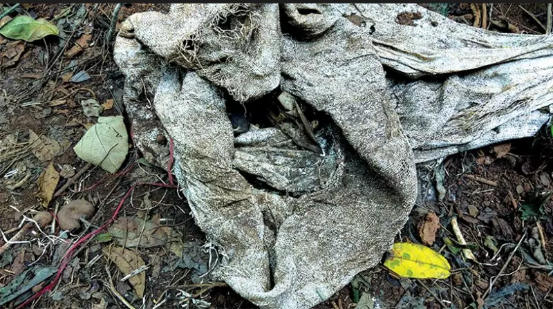 Ponda Cow Shed Bones Spark Illegal Slaughter Suspicions, Vet Report Awaited