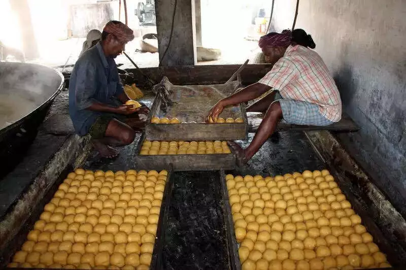 Pongal Rush: Salem, Dharmapuri, Namakkal Ramp Up Jaggery Output