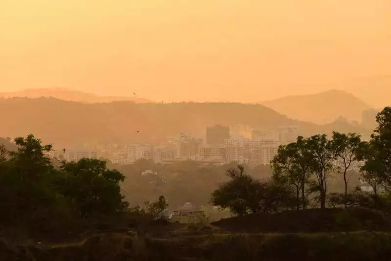 Pune Citizens Demand Full Vetal Hill Forest Status, Cite Supreme Court Directives