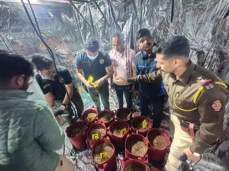 Pune Police Bust AI-Powered Hydroponic Drug Racket, Seize Rs 3.45 Crore