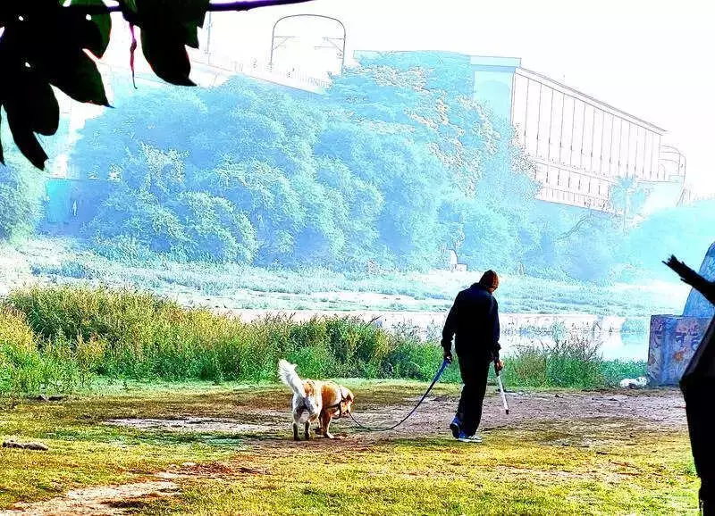 Pune's Mercury Plummets: City Colder Than Mahabaleshwar at 9.4°C