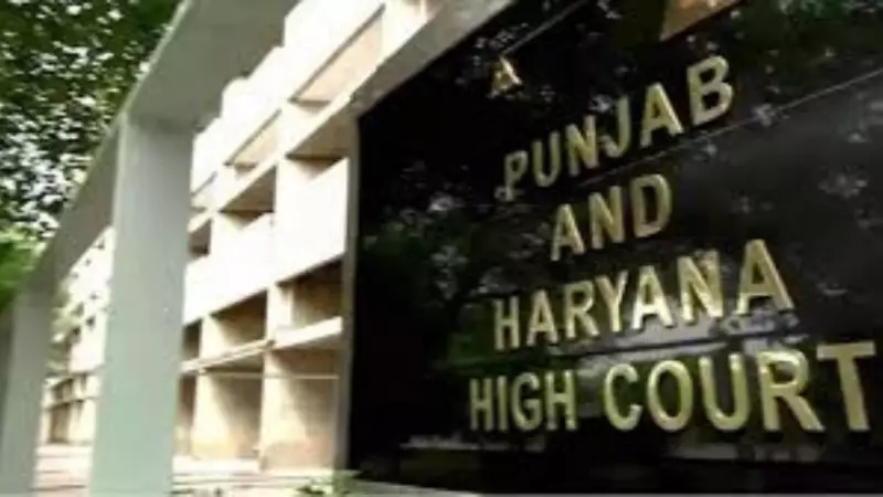 Punjab & Haryana HC: Courts Can't Automatically Demand Passport for Bail