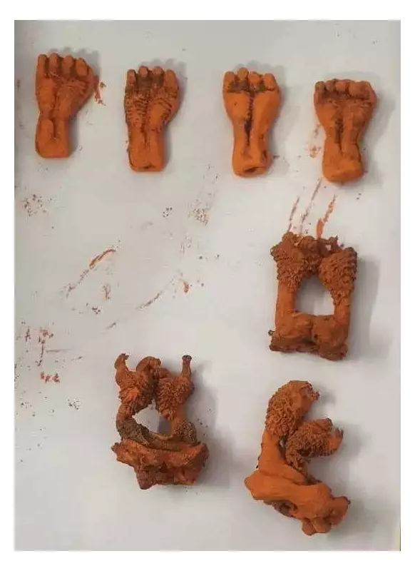 Punjab Busts Wildlife Racket: Lizard Genitals Sold as Rare Roots in Nakodar