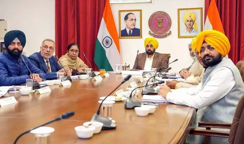 Punjab Cabinet Upgrades 2 Sub-Tehsils, Reforms Land Revenue Act