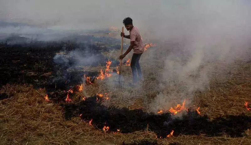 Punjab Farm Fires Drop 90%: Stubble Burning Season Ends with 5,114 Cases