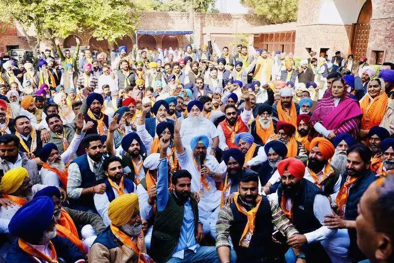 Punjab Rural Polls: SAD Gains Ground in Malwa, Revived Faction Faces Rift