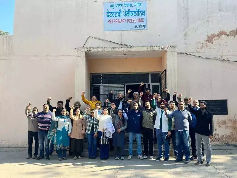 Punjab Vets Strike: Services Halt Demanding Pay Parity with Medical Doctors