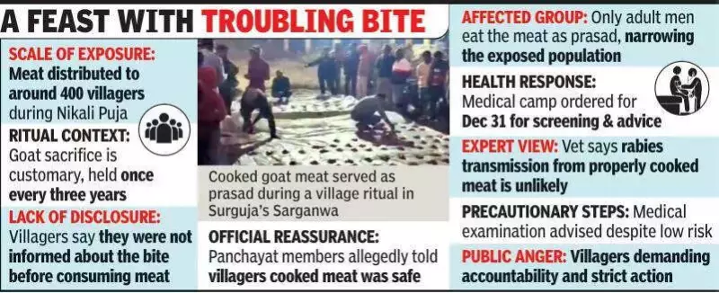 Rabies Scare in Chhattisgarh Village After 400 Consume Meat of Suspected Goat