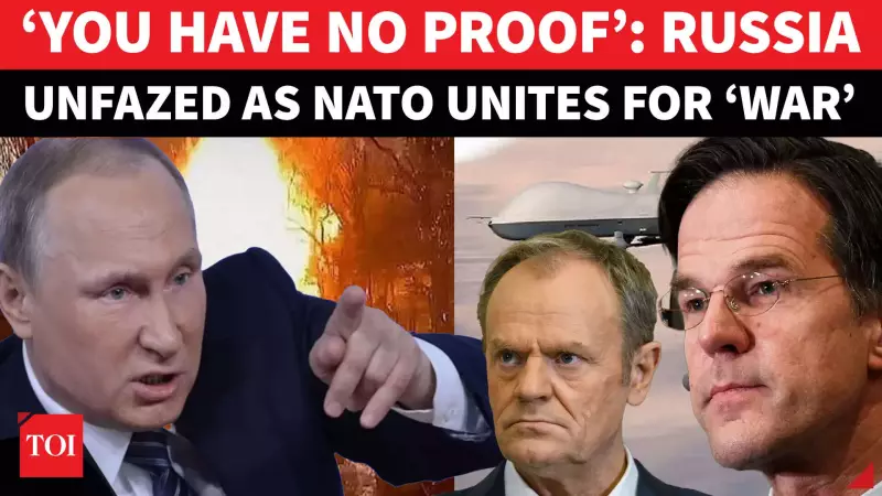 Russia Denies Poland's NATO Airspace Violation Claims, Calls Them 'Baseless'