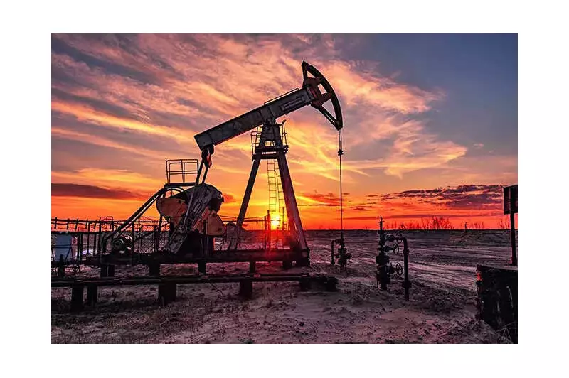 Russia Vows to Protect India Oil Trade from Sanctions Ahead of Putin Summit