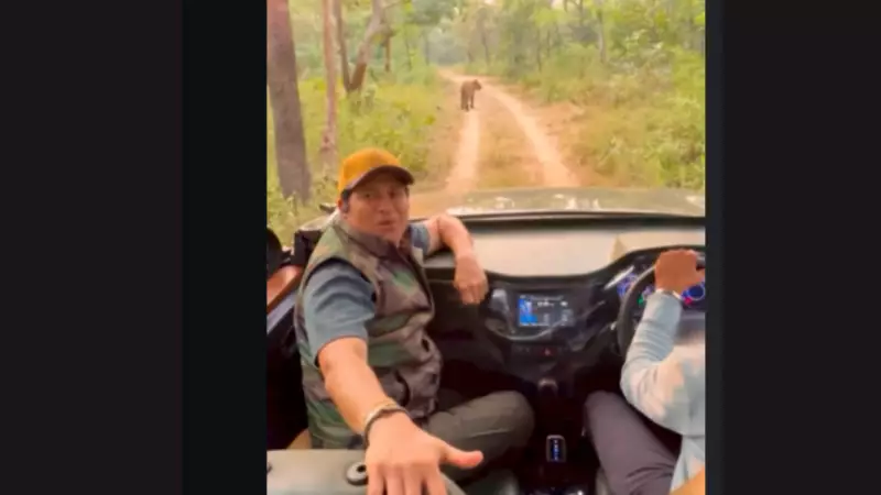 Sachin Tendulkar's Favourite Getaway: Inside His Tadoba Tiger Reserve Retreat