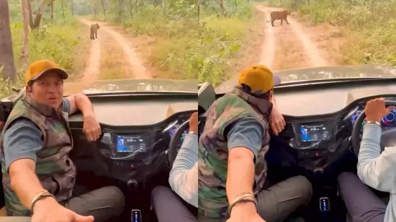 Sachin Tendulkar's Tadoba Safari: 5 Life Lessons from Cricket Legend