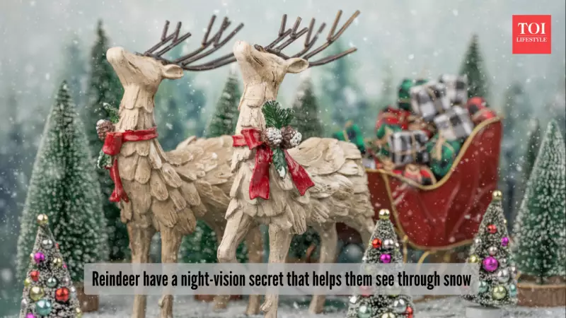Santa's Secret Weapon: How Reindeer's Night Vision Powers Christmas Eve
