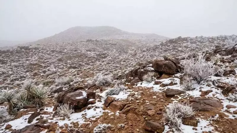 Saudi Arabia's Almond Mountain Turns White: Rare Heavy Snowfall Stuns World