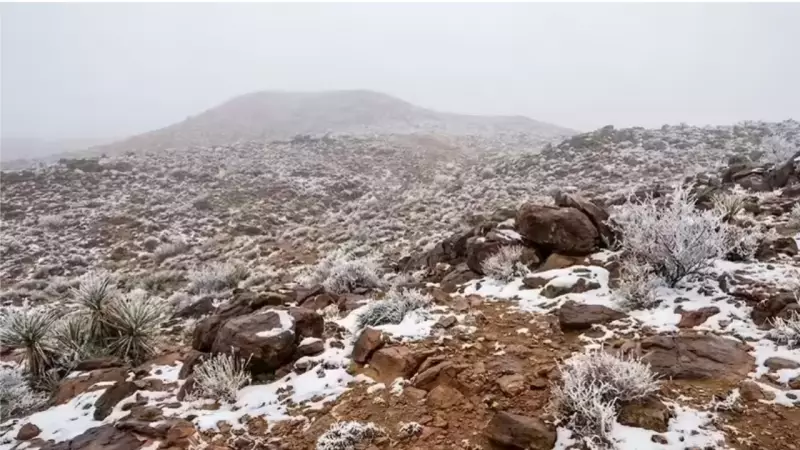 Saudi Arabia's Desert Turns White: Rare Snowfall Blankets Tabuk Region