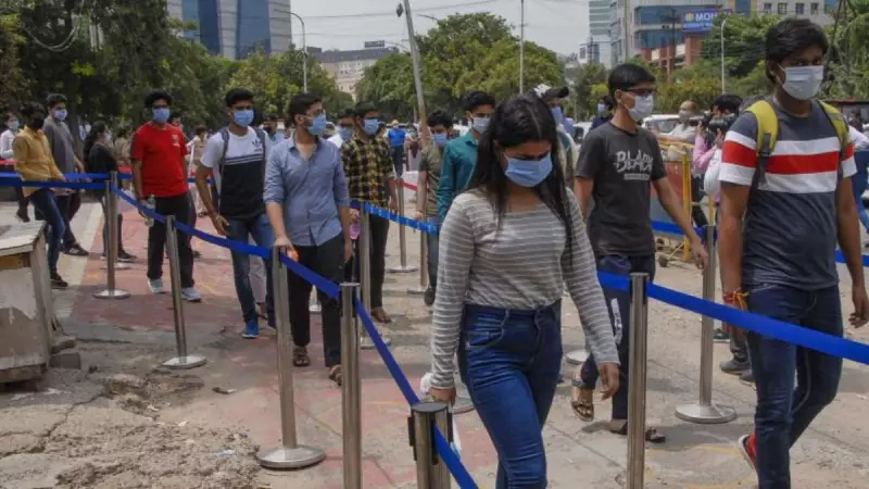 SBI Clerk Mains Result 2025 Declared: Download Scorecard at sbi.co.in