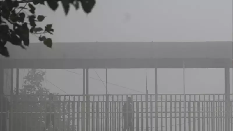 SC Slams Affluent for Delhi's Pollution Crisis, Cites 41% Vehicle Contribution