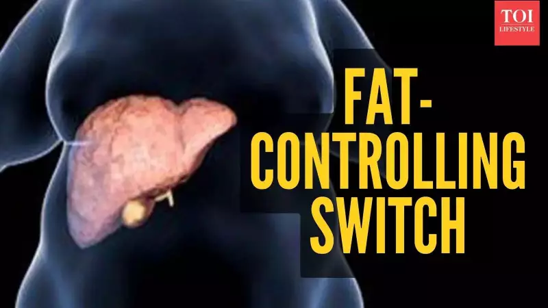 Scientists Discover 'Fat Switch' Enzyme SCoR2: A New Hope for Obesity & Cholesterol