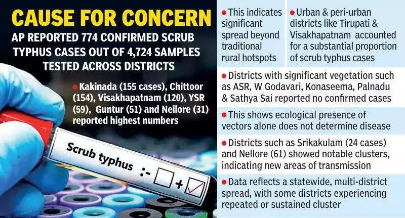 Scrub Typhus Surge in Andhra Pradesh: 774 Cases, Missing Eschar Complicates Diagnosis