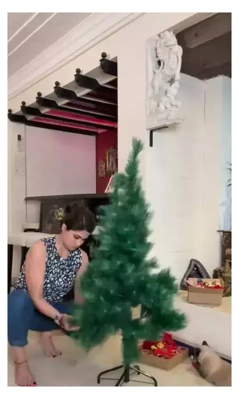 Shamita Shetty's Festive Prep: Cats Help Decorate Christmas Tree