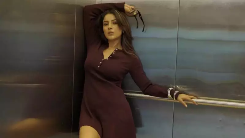 Shehnaaz Gill Reveals Why She Invested Her Own Money: 'Used as a Prop in Films'