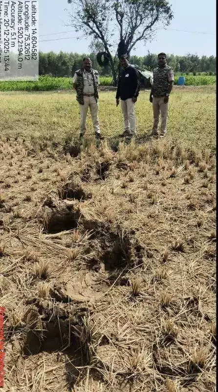 Shivamogga's Month-Long Elephant Struggle: 60 Forest Staff Monitor 3 Troublesome Jumbos