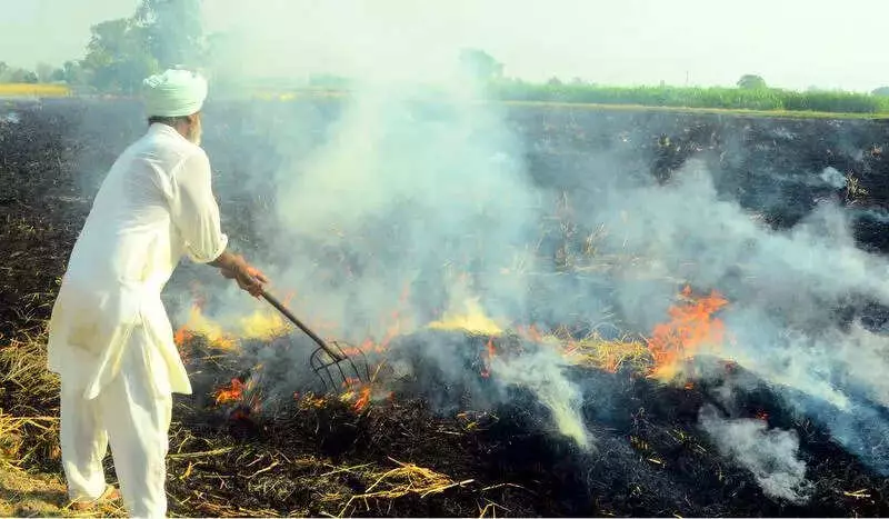 Stubble Burning's Role in Delhi Pollution Drops to 7% in Nov 2025: CREA Report