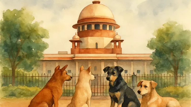 Supreme Court's Stray Dog Order Sparks Legal & Constitutional Crisis