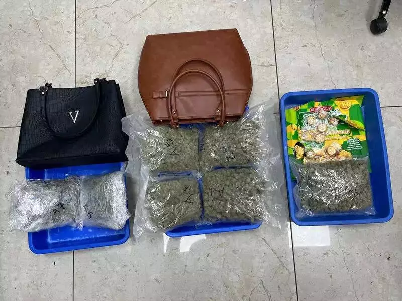 Surat Airport Seizes Rs 3.11 Crore Cannabis from Bangkok Passenger, Second Case in a Week