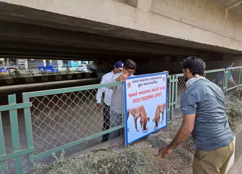 Surat Installs Public Notice Boards for Dog Feeding Spots to Curb Bites