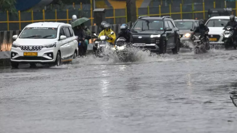 Tamil Nadu Rain: Schools, Colleges Closed in Multiple Districts on Tuesday