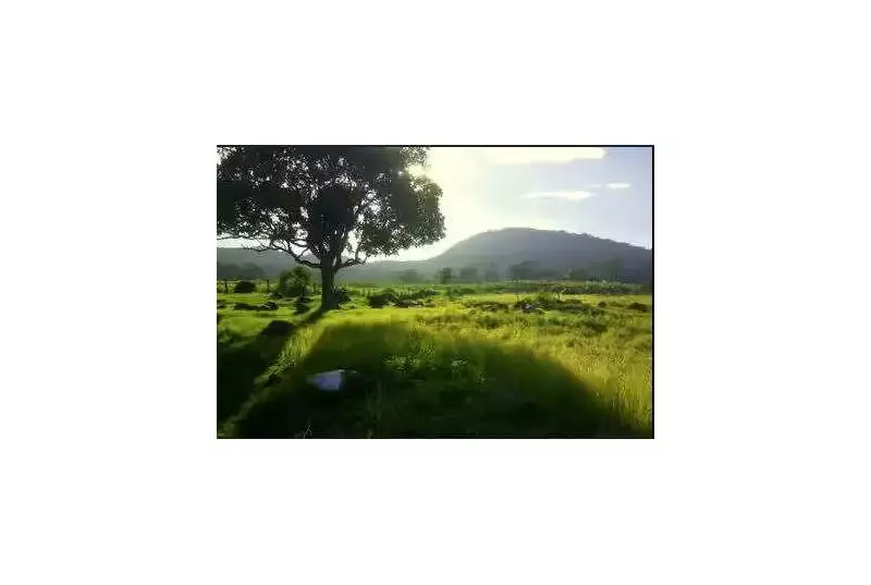 Tamil Nadu Redraws Tourism Map: New Glamping & Camping in Jawadhu, Vathalmalai, Kolli & Yelagiri Hills