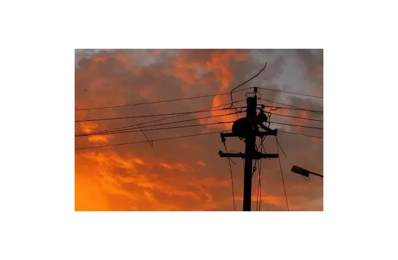 Tamil Nadu SHRC Orders ₹10 Lakh Compensation for 2016 Electrocution Deaths