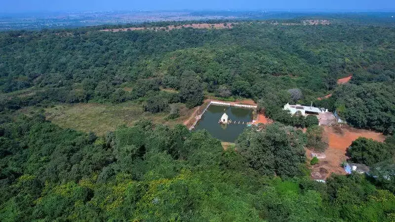 Telangana HC Seeks Reports on Navy's ELF Radar Impact on Vikarabad Biodiversity