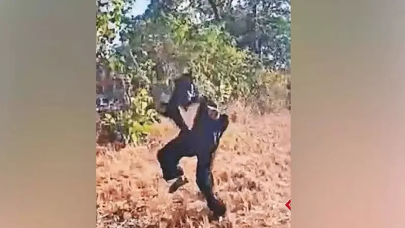 Telangana Sarpanch Wears Bear Costume to Scare Monkeys, Video Goes Viral