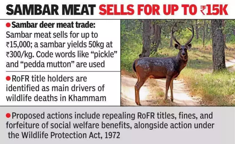 Telangana's Forest Fringes Turn Deadly: Illegal Electric Traps Kill Wildlife, Endanger Villagers