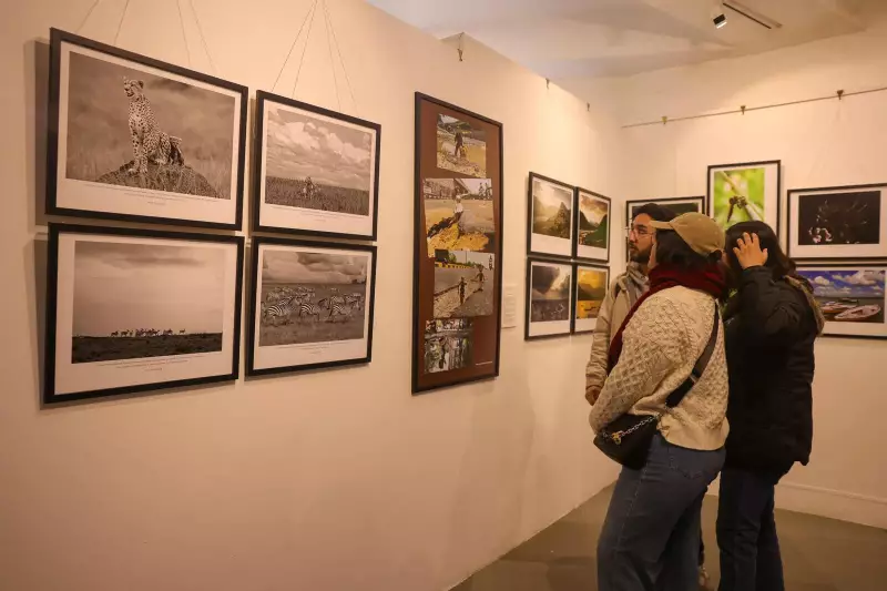 The Big Picture 2024: 250+ Photos by 69 Photojournalists Spotlight Visual Storytelling