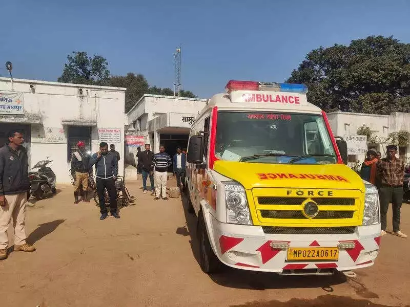 Tiger Attacks Forest Guard in Bandhavgarh During Census, Highlights Poaching Fears