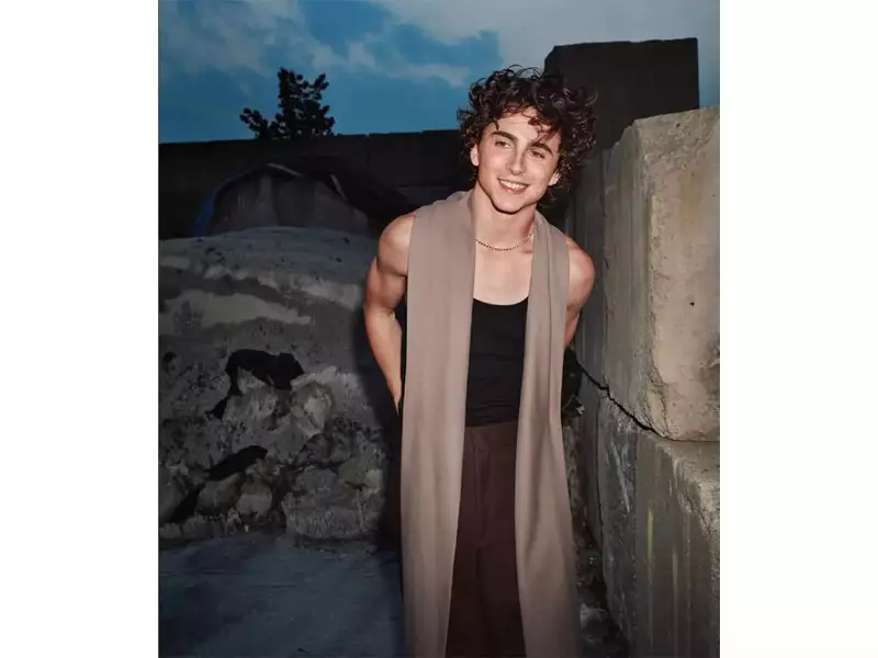 Timothee Chalamet Turns 30: Susan Boyle's Surprise & Nostalgic Instagram Post