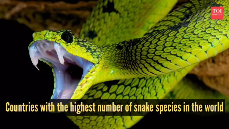 Top 10 Countries with Most Snake Species: Mexico Leads, India Ranks 4th