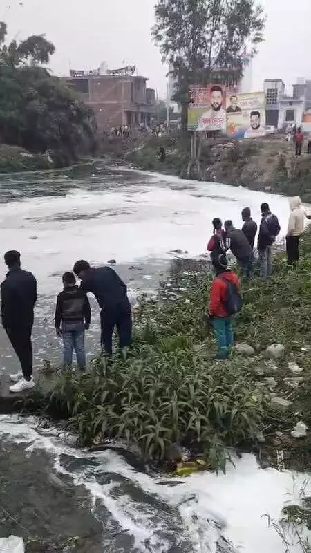 Toxic Dump in Begul River Kills Fish, Sparks Health Fears in Rudrapur
