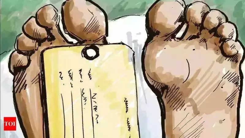 Tragic Double Suicide in Vizag: Software Engineer, Mother Found Dead in Lodge