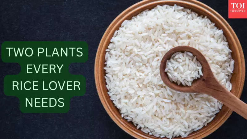 Transform Your Daily Rice with Pandan & Lemongrass: Easy Indian Balcony Guide