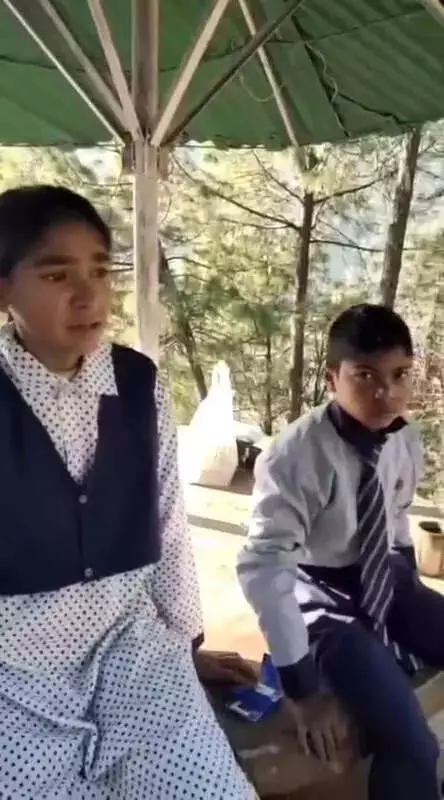 Two Bears Attack 11-Year-Old in Chamoli School, Heroic Classmate Saves Him