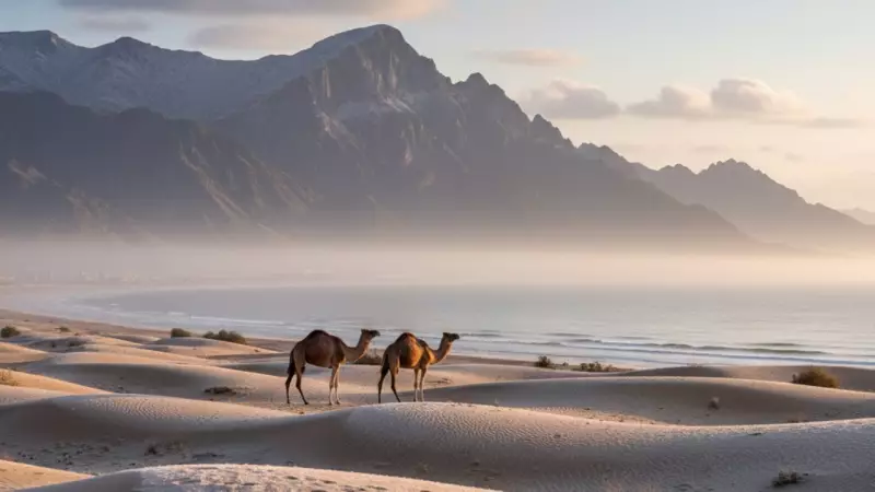 UAE Winter Begins Dec 22: Cold Nights, Rain & Regional Weather Guide