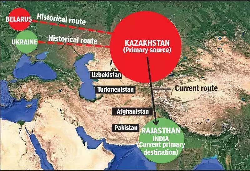 Ukraine War Alters Vulture Migration, Rajasthan Emerges as Key Refuge