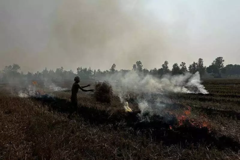 UP Stubble Burning Spikes 18.6% in 2025, Threatening NCR Air Quality
