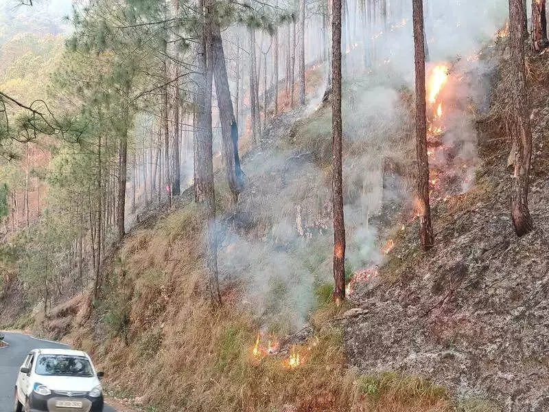 Uttarakhand HC Slams State's Failure to Curb Forest Fires Since 2021
